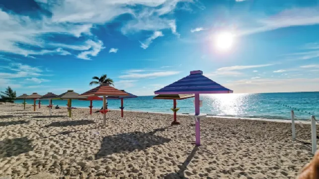 NEW Stunning Ground Floor Beachfront Studio in Coral Beach,  Grand Bahamas