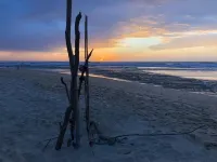 Landes Moliets Plage et Golf à Pied 6 Personnes
