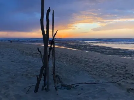 Landes Moliets Plage et Golf à Pied 6 Personnes Отели в г. Мольетс-э-Маа