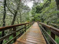 Welcome to Wellfleet! Classically Modern, Woodsy and Serene. Hotels in Wellfleet