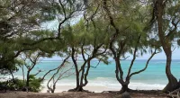 Turtle Hideaway is close to Beach in Silversands, Barbados only a 3 minute walk.