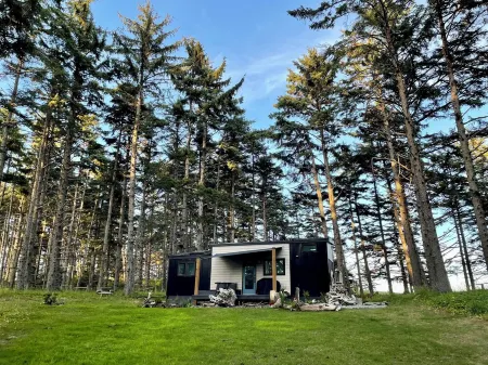 Oceanfront, newly built, modern tiny home with beach access! Отели в г. Скина-Квин Шарлотт