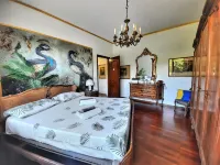 Villa Sequoia with swimming pool and private spa CIR code 00126300139 Hotels in 