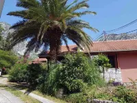 Private garden villa: serenity , private lush haven by the sea.
