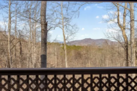 Mountain Views, 3 king beds, ready for Multi Couples get away!!! Fido too!!!