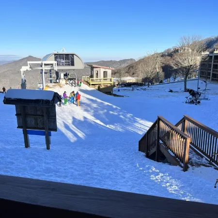 Always In Season Ski In/OutCozy getaway just steps away from Omas Meadow