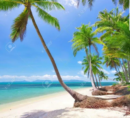 Coconut River beach Holiday Villa Отели рядом с достопримечательностью «Secret Garden Spa»