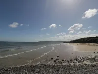 Salty Puffin - Beach