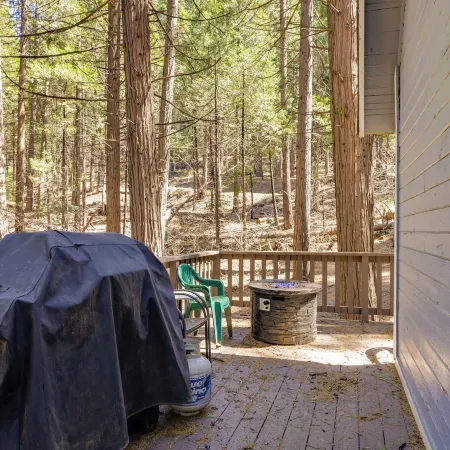 Hike, Ski & Sip: Arnold Cabin 4 Mi to State Park!