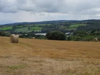 The Meadow