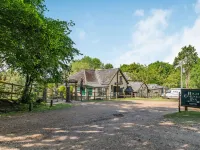 Endymion Hotel a Rockbourne