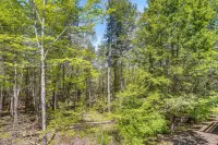 Ski, Hike & More: Year-round Gem in Windham -  Privatzimmer