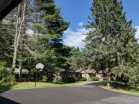 Pine Tree Motel & Cabins Hotels in Chester