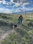 Meadowlark Yurt in Dillon with WiFi