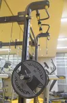 The Capital Trilogy - Gym