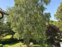 Schönenberger Hof Hotel a Bodman-Ludwigshafen