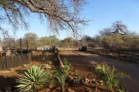 Hambana Lifestyle Lodge Hotels in Messina