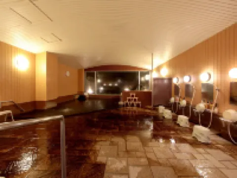 さひめ野 大田市のホテル