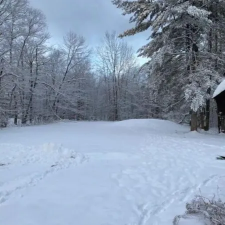 Cozy Cabin near Okemo