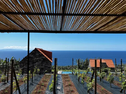 Casas Do Laranjo- Cottages & Infinity Pool
