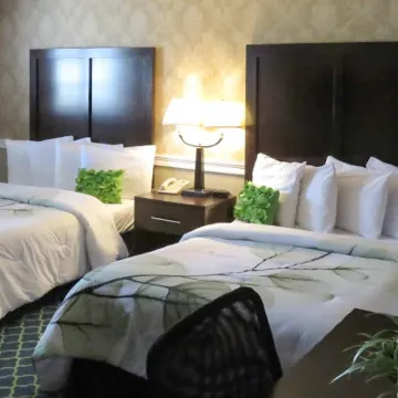 Rodeway Inn Logan International Airport Hotels near Revere Beach