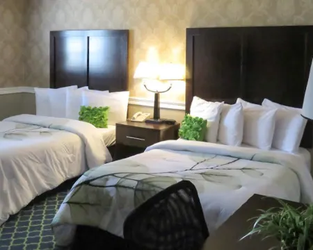 Rodeway Inn Logan International Airport Hotels in Revere