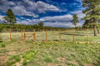Fenced Backyard with Hot Tub and Grill - Tranquil Luxury Oasis