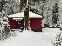 ‘Volcano Country’ Creek side Cottage in Doty
