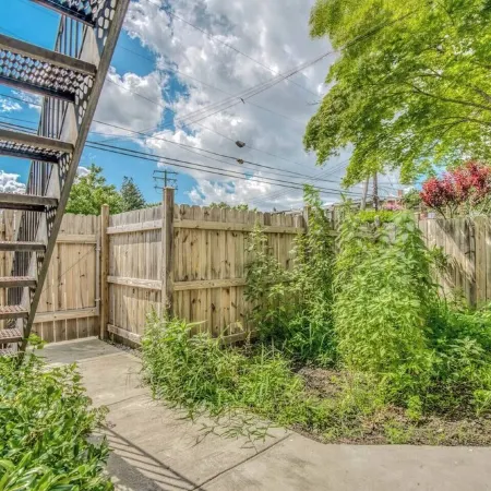Cozy 1 bdrm/1 bath Charles Village/Hopkins Apartment