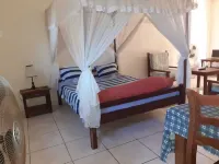 equipped and ventilated studio in the heart of the city and nature 住宿飯店