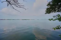 Spacious 3-bedroom water front apartment in serene Marine Drive Ernakulam Kerala