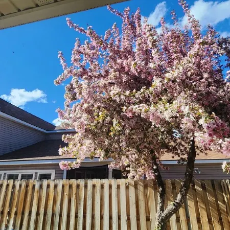 In the heart of Durango