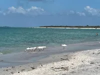 Beautiful 3/3 Island Retreat with Heated Pool, Dock & Private Boat Ramp.