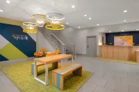 Spark by Hilton Summerville