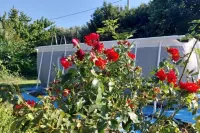 NAT APARTMENTS Koper - Daisy and Tulip Apartments Hotels in Koper