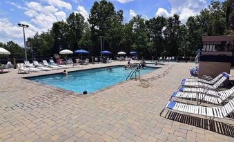 Urban Escape - 1BR King Cabin