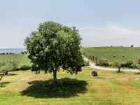 Agriturismo a Montoro vicino al mare