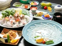 Hatsushiro Hotels in Onga District