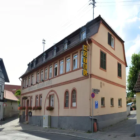 Hotel Goldene Gerste Отели рядом с достопримечательностью «Харнхайм»