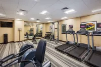 Candlewood Suites ANAHEIM - RESORT AREA by IHG - Træningscentre