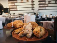 LOGE Mt. Shasta Hotels in Dunsmuir