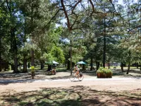 Modern Braddon Studio with Parking