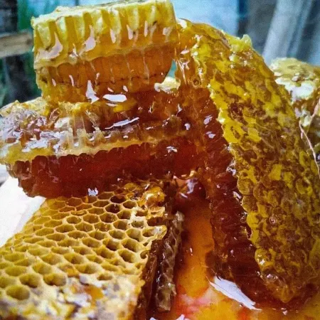 Destino Hotel & Hot Spring