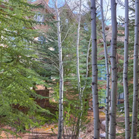 2 Br Condo Arrowhead Village, Walking Distance to Lift