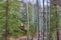 2 Br Condo Arrowhead Village, Walking Distance to Lift