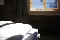 레흐의 하우스 오브드 레흐