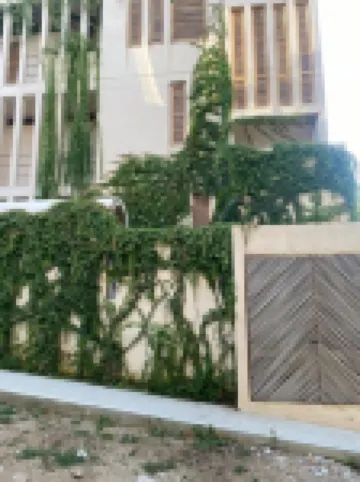 Condominios Punta Morelos Hotels in 