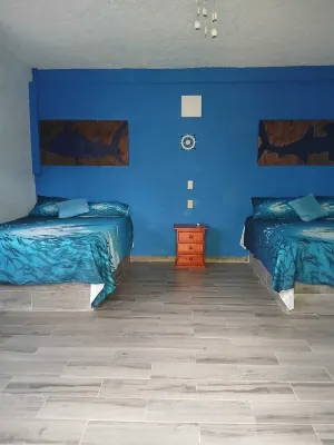 Hostal - chambre d’hôtes