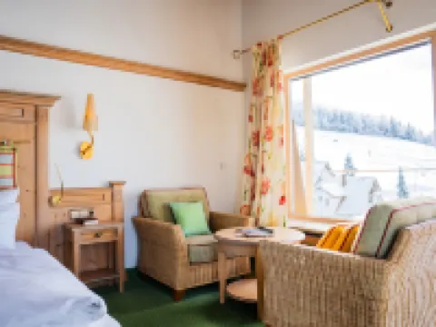 Bergvital Hotel Todtnau Hotels in Todtnau