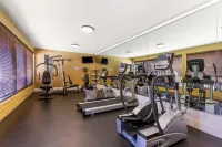 Royal Sun Inn & Suites - gimnasio